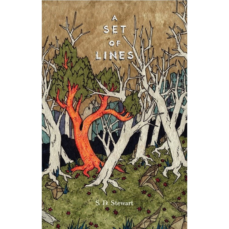 A Set of Lines: A Novel