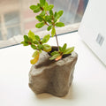 Short Rock Vase