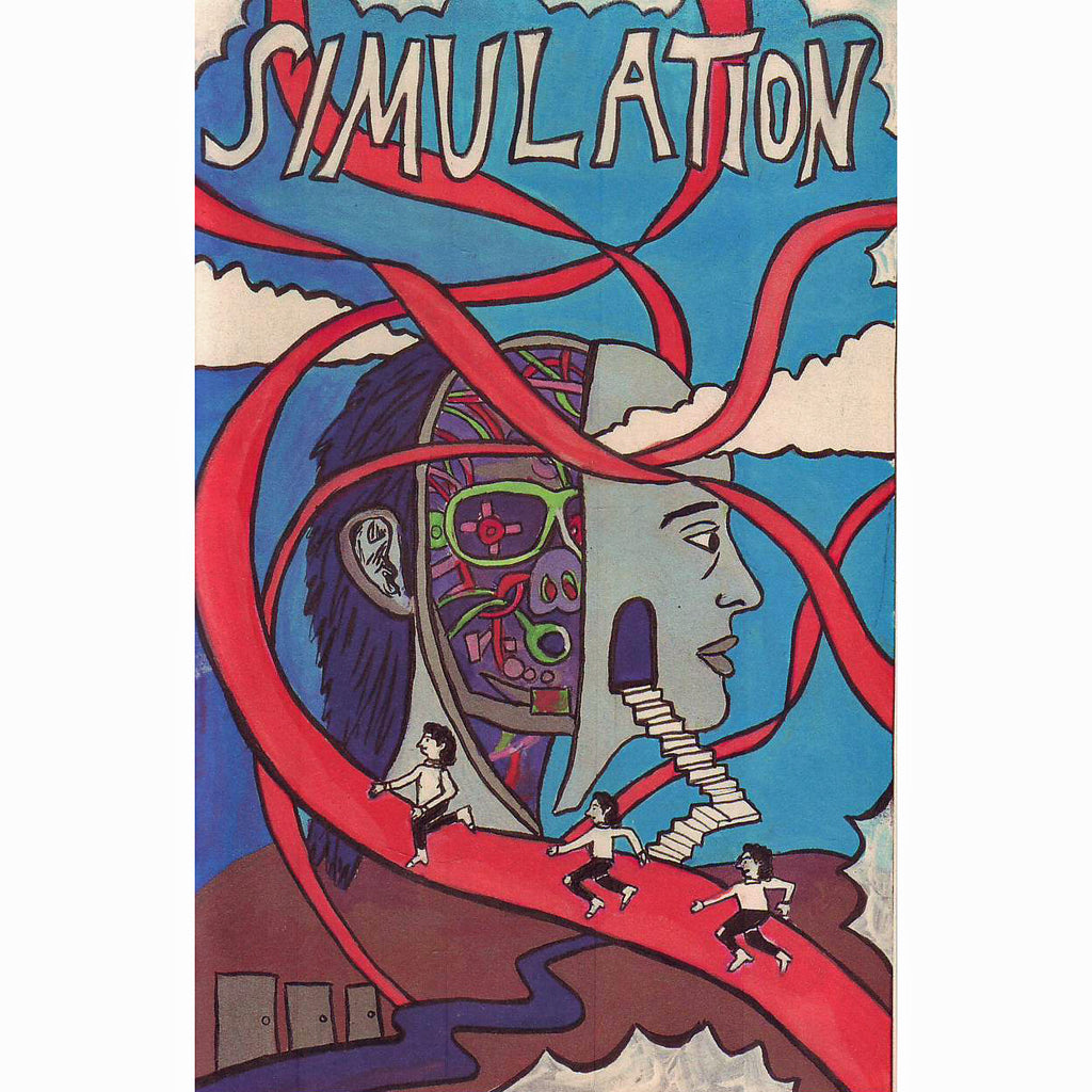 Simulation