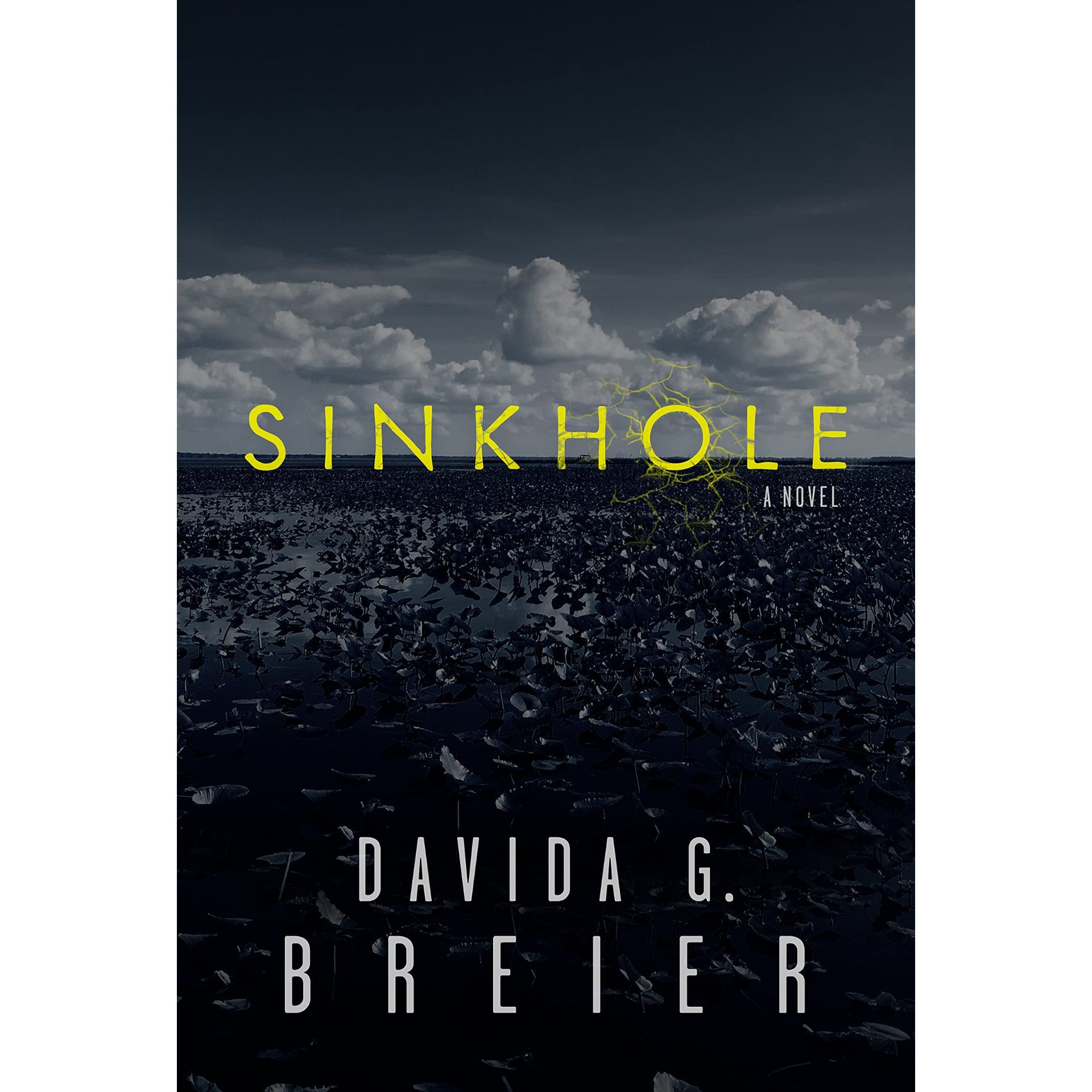 Sinkhole: A Novel [SIGNED]