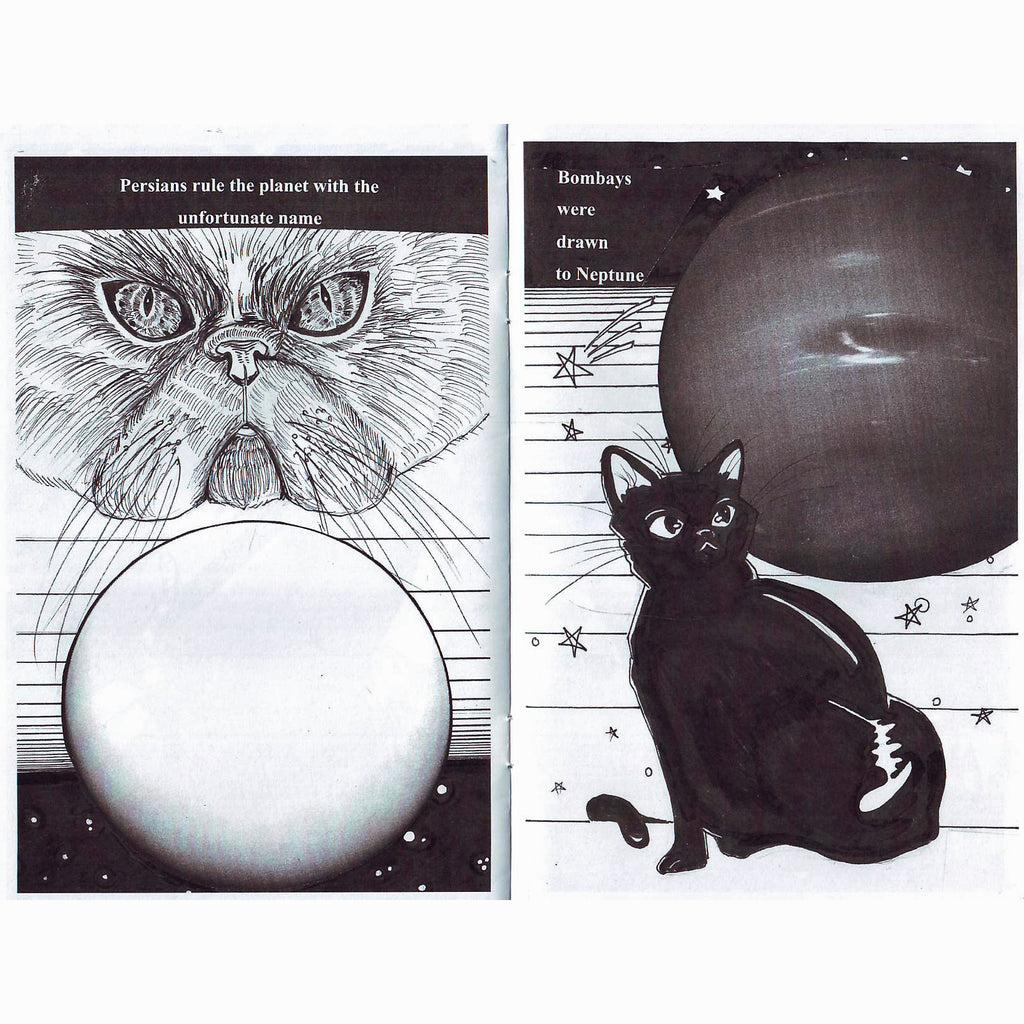 Space Cats