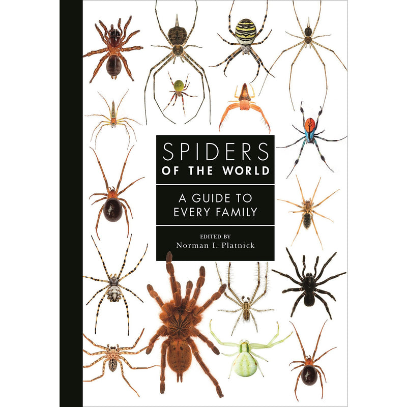 Spiders of the World: A Natural History