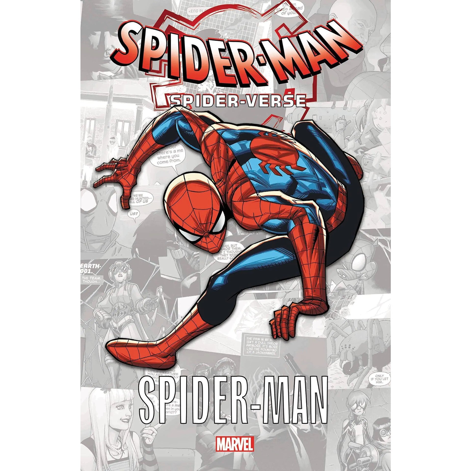 Spider-Man Spider-Verse: Amazing Spider-Man