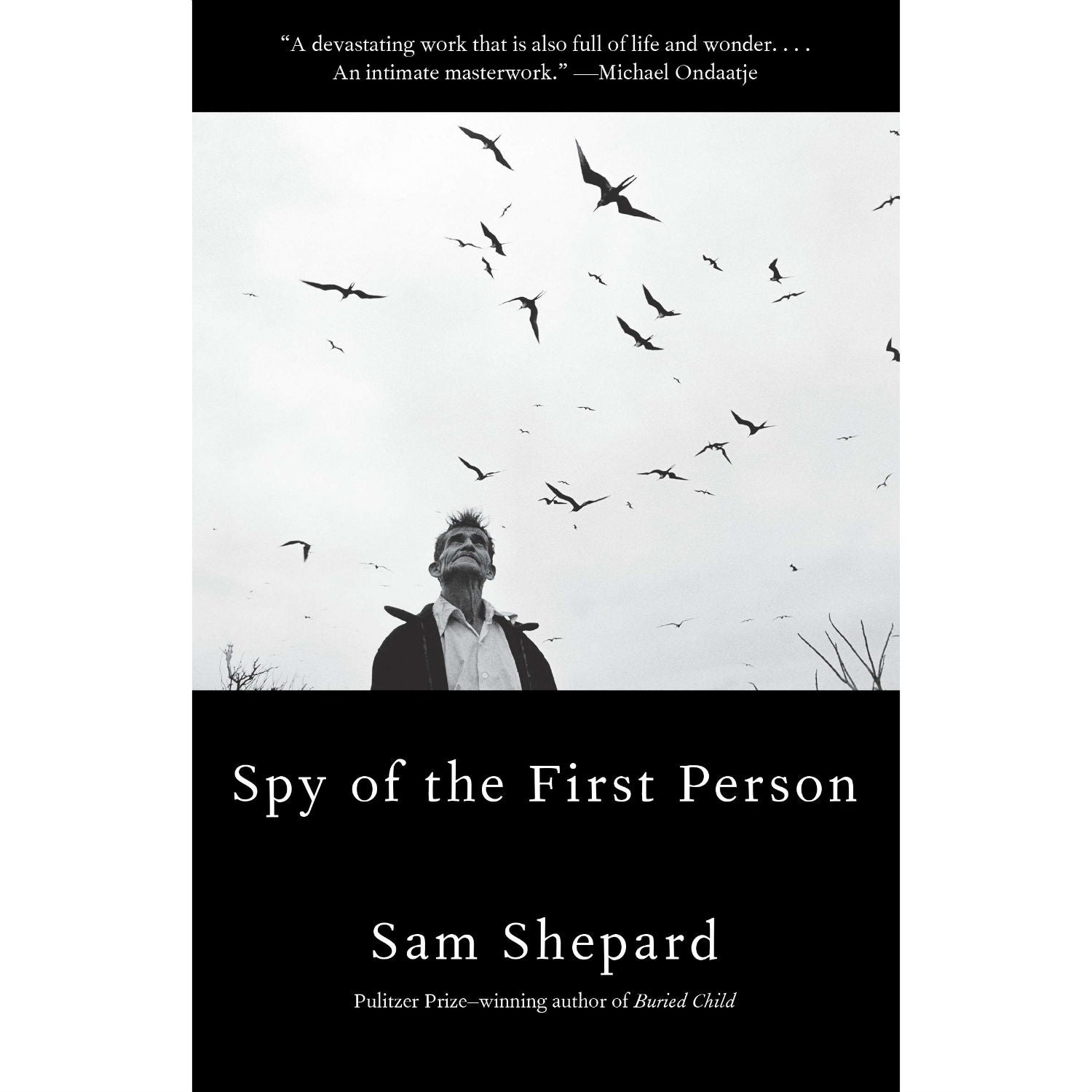 Spy of the First Person (paperback)