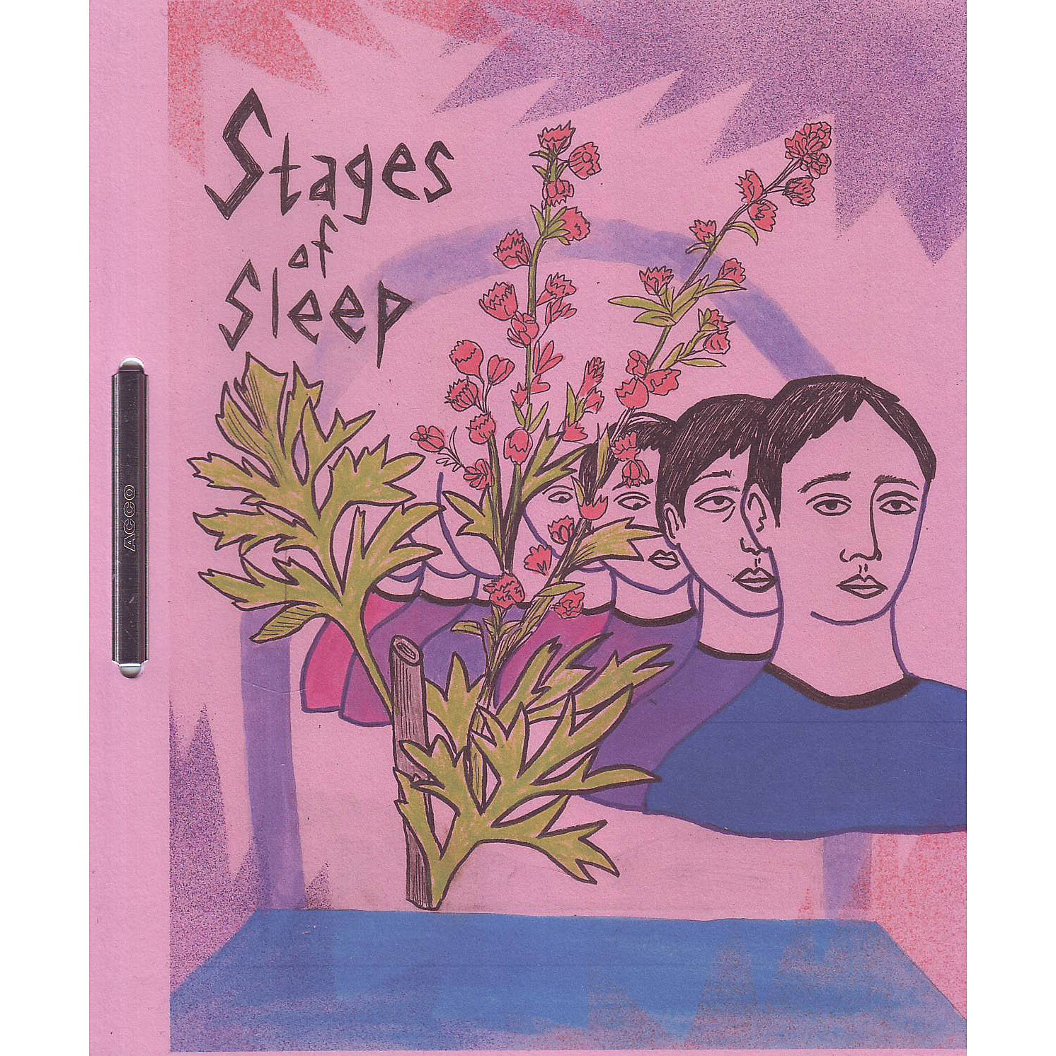 Stages of Sleep