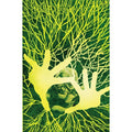 Swamp Thing #13 