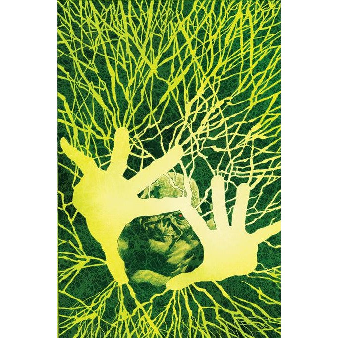 Swamp Thing #13 