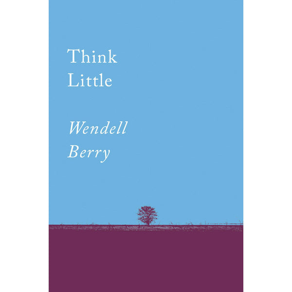 Think Little: Essays