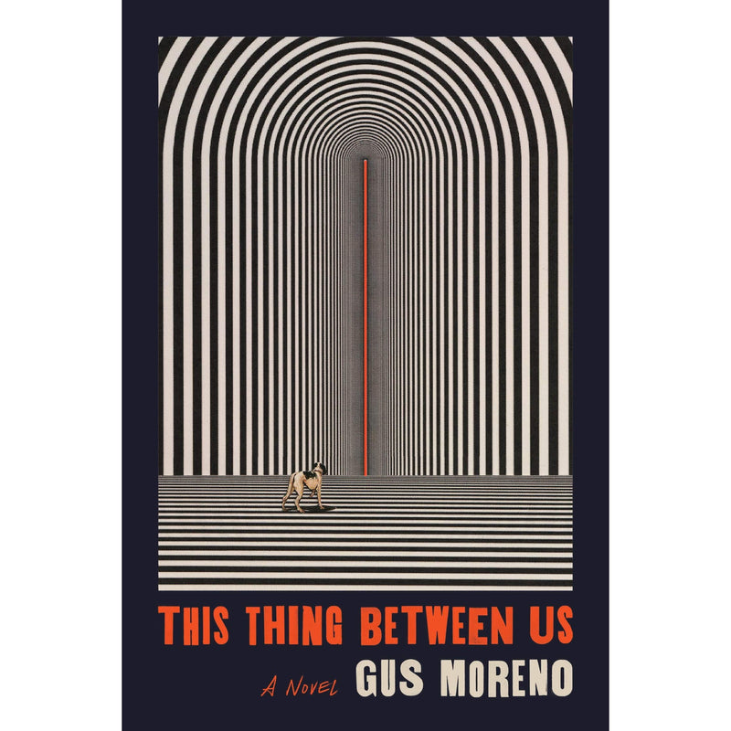 This Thing Between Us: A Novel