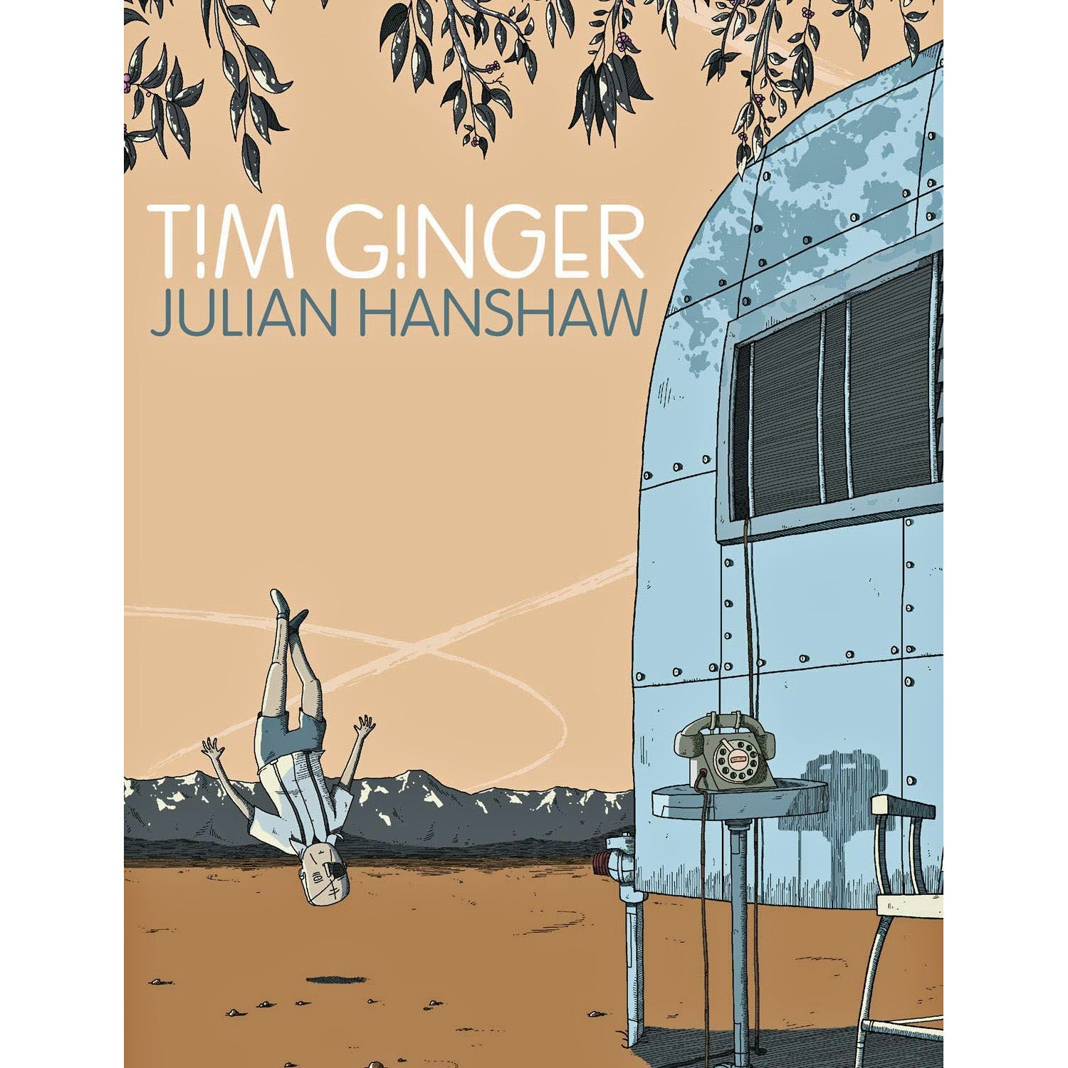 Tim Ginger