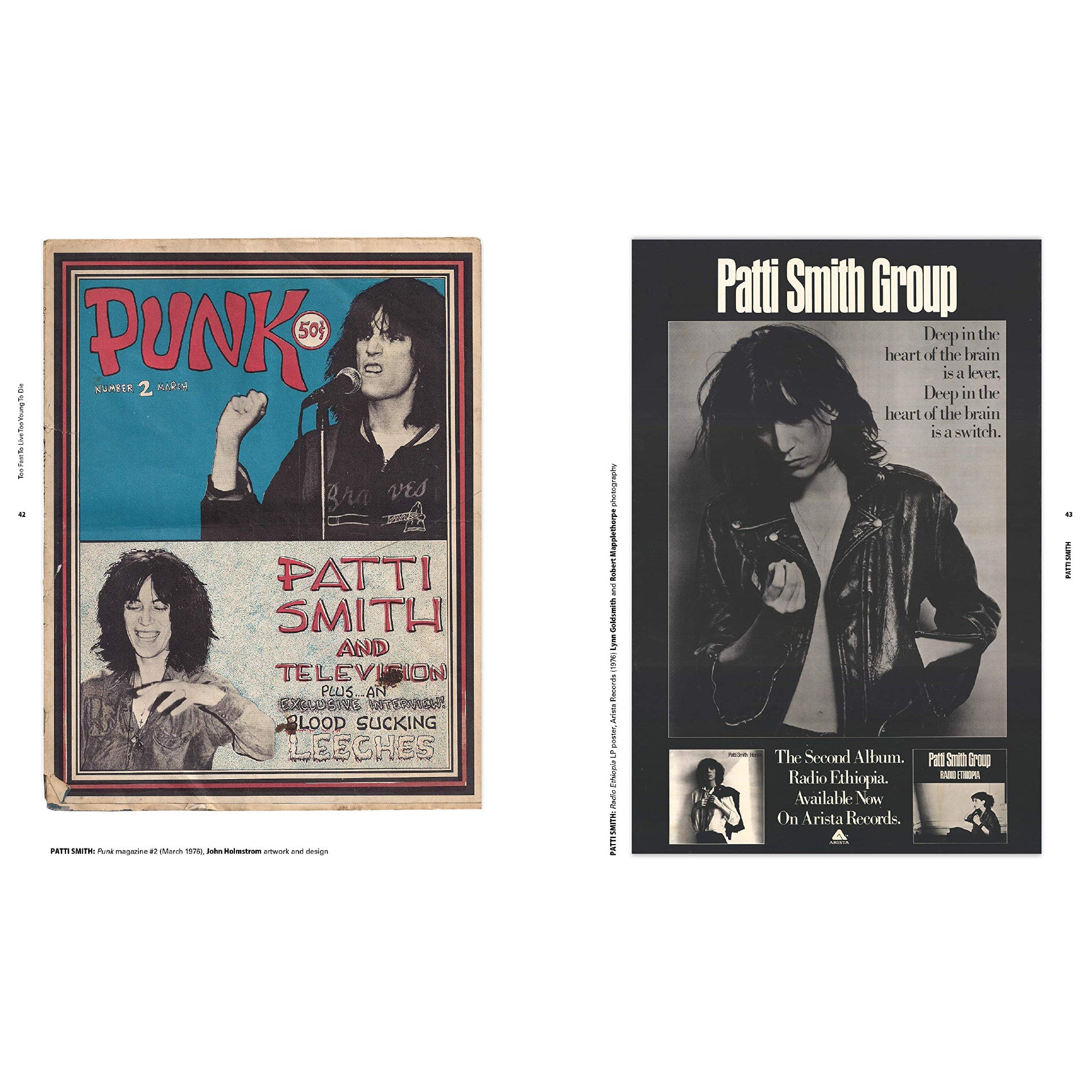 Too Fast to Live Too Young to Die: Punk And Post Punk Graphics