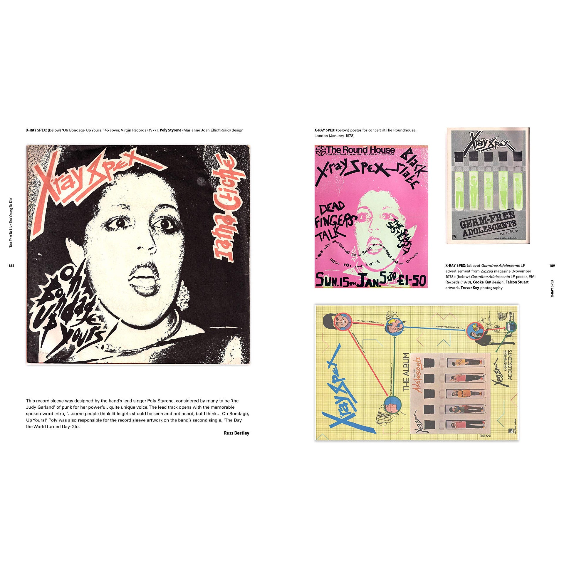 Too Fast to Live Too Young to Die: Punk And Post Punk Graphics