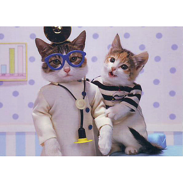 Cat Doctor And Patient Postcard