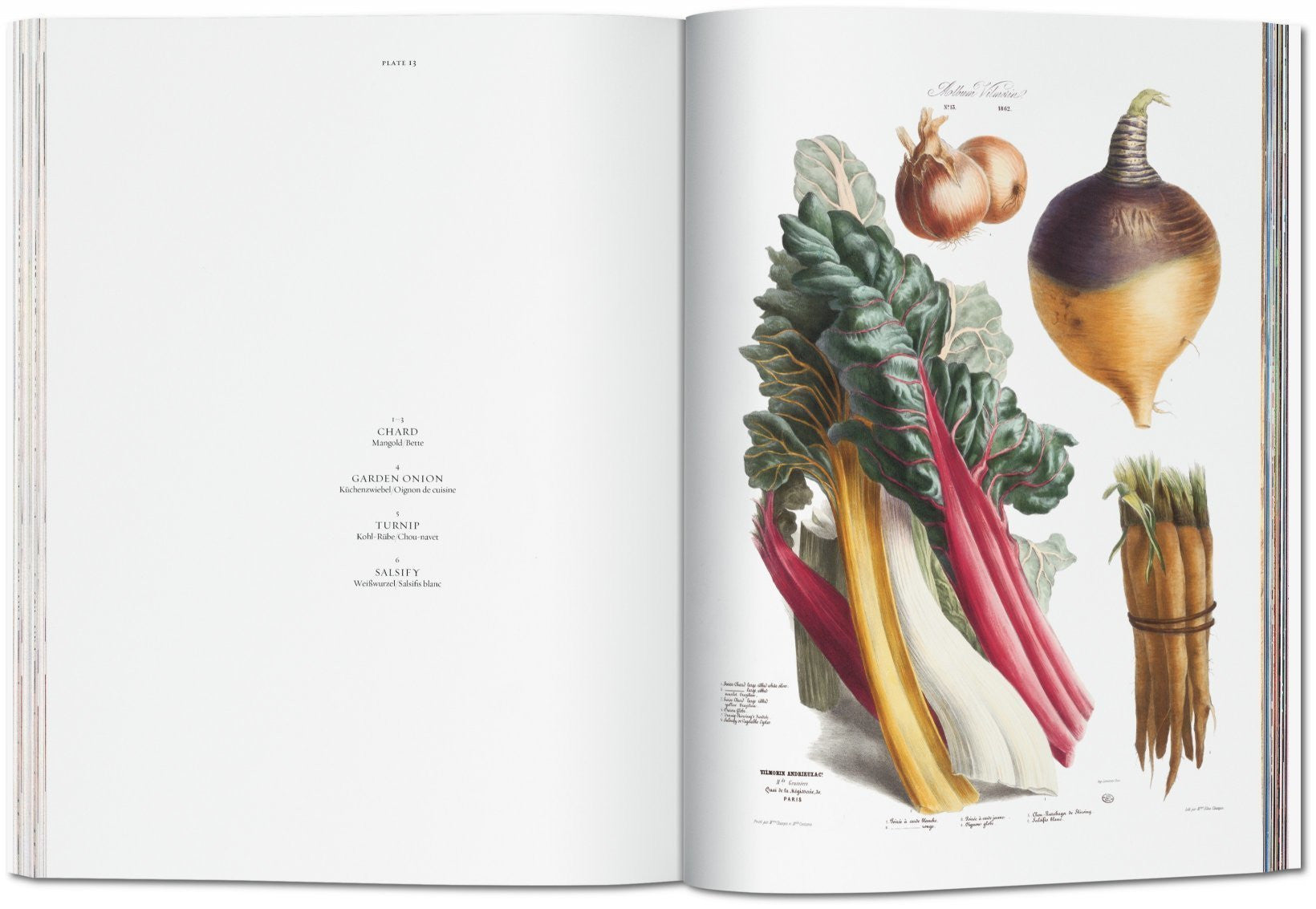 Vilmorin, Vegetable Garden