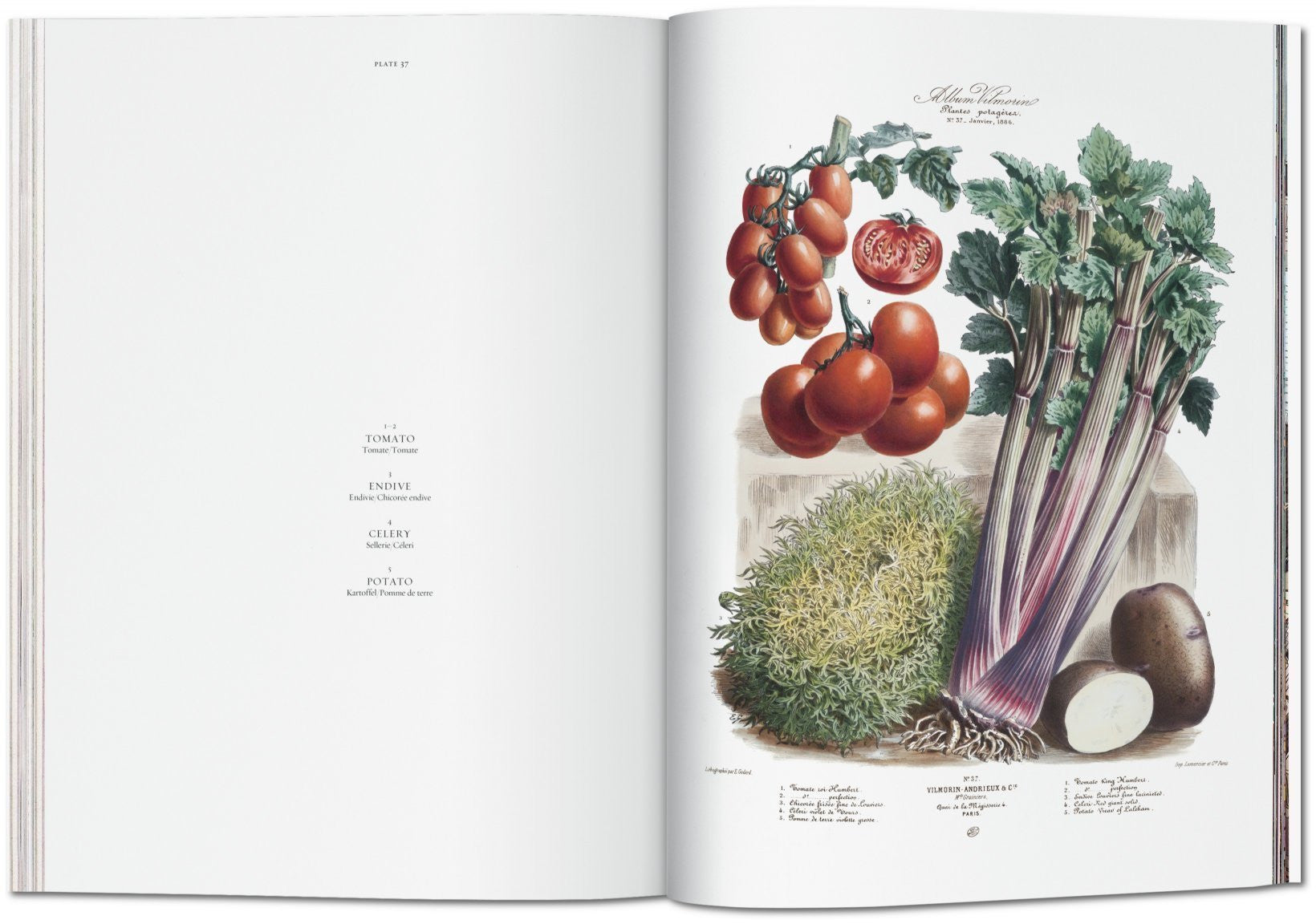 Vilmorin, Vegetable Garden