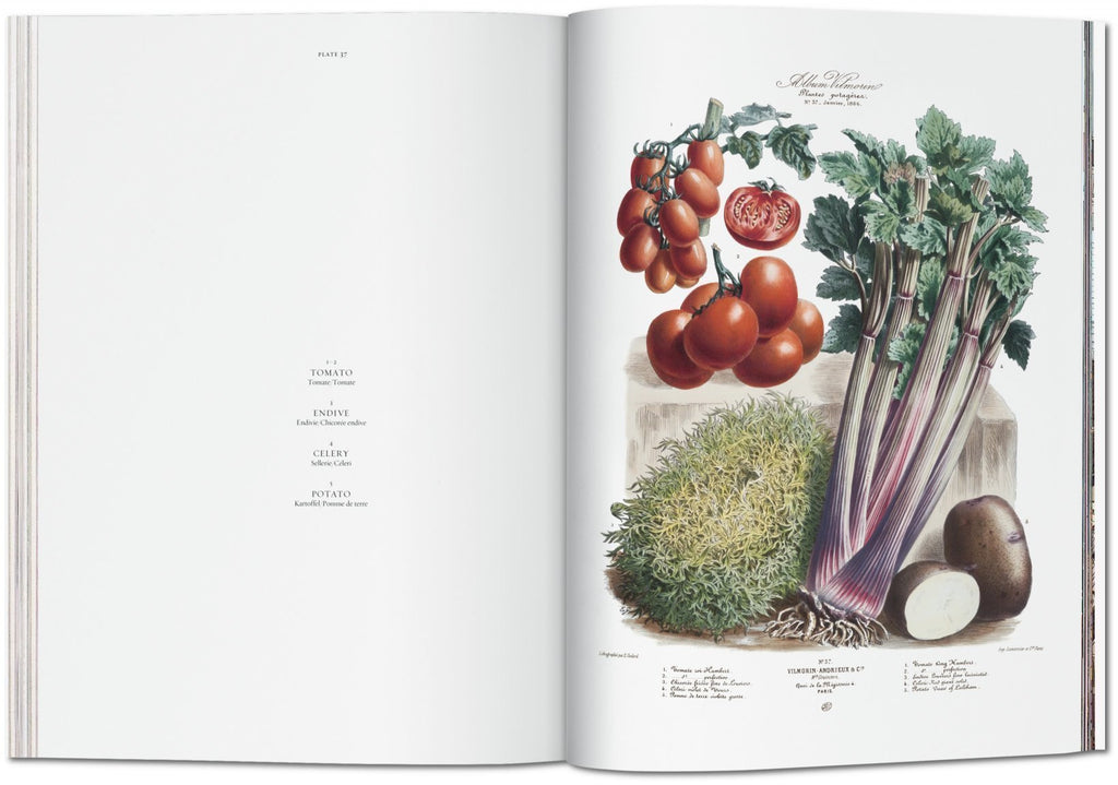 Vilmorin, Vegetable Garden (Multilingual Edition)