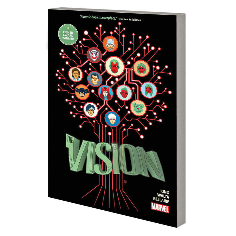 Vision (paperback)