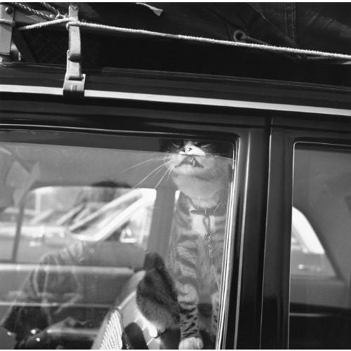 Vivian Maier: Self-Portraits