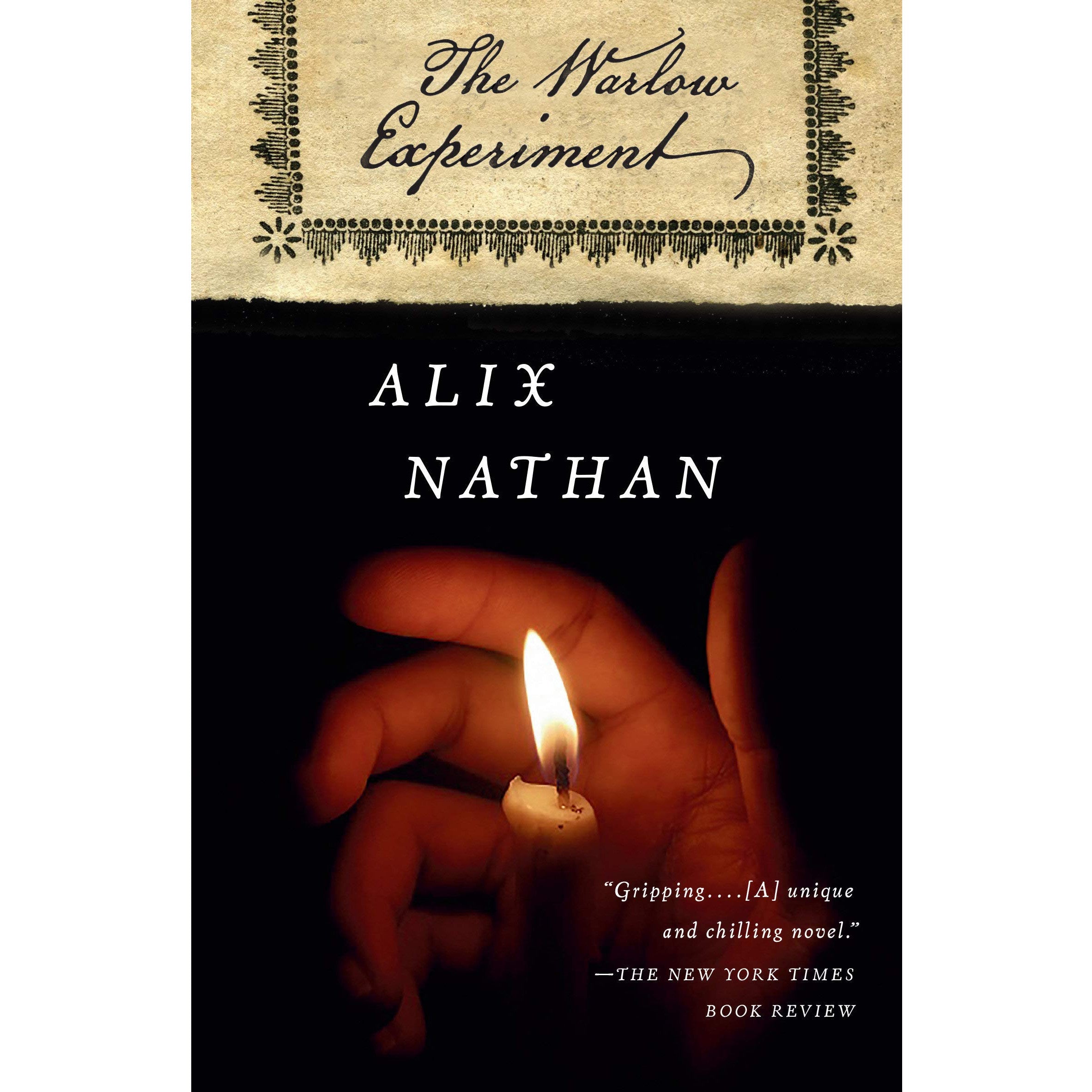 The Warlow Experiment: A Novel (paperback)