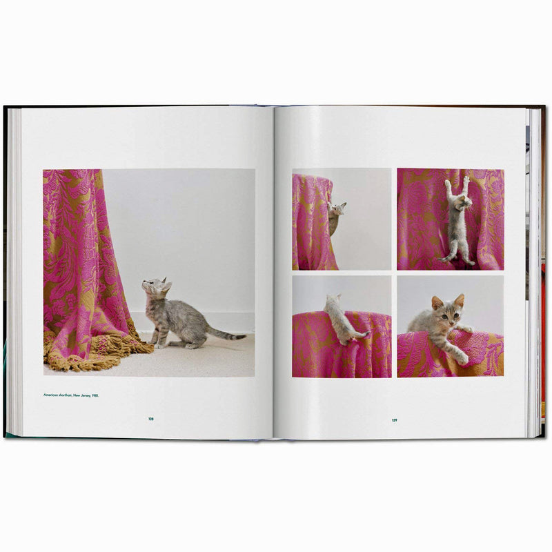 Walter Chandoha. Cats. Photographs 1942-2018