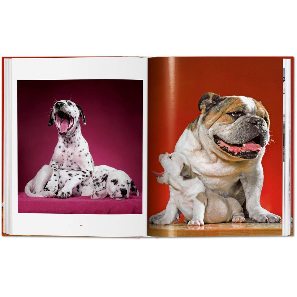 Walter Chandoha. Dogs. Photographs 1941–1991