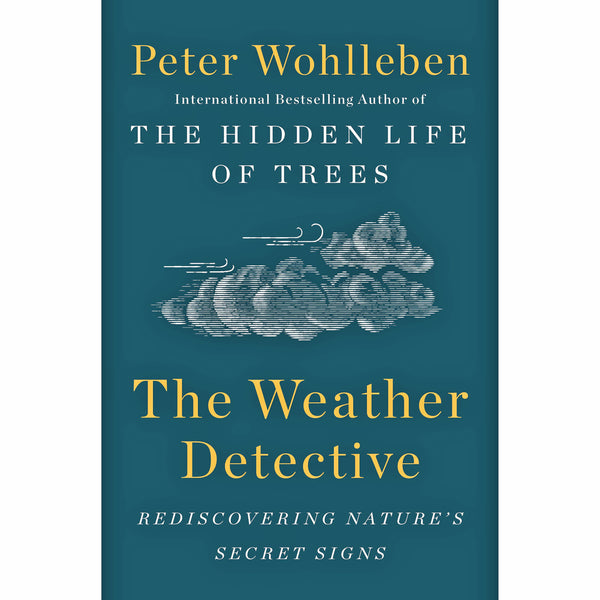 The Weather Detective