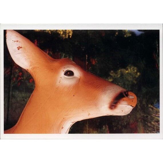 William Eggleston: Hot Springs Deer Head Postcard