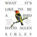 What It's Like to Be a Bird