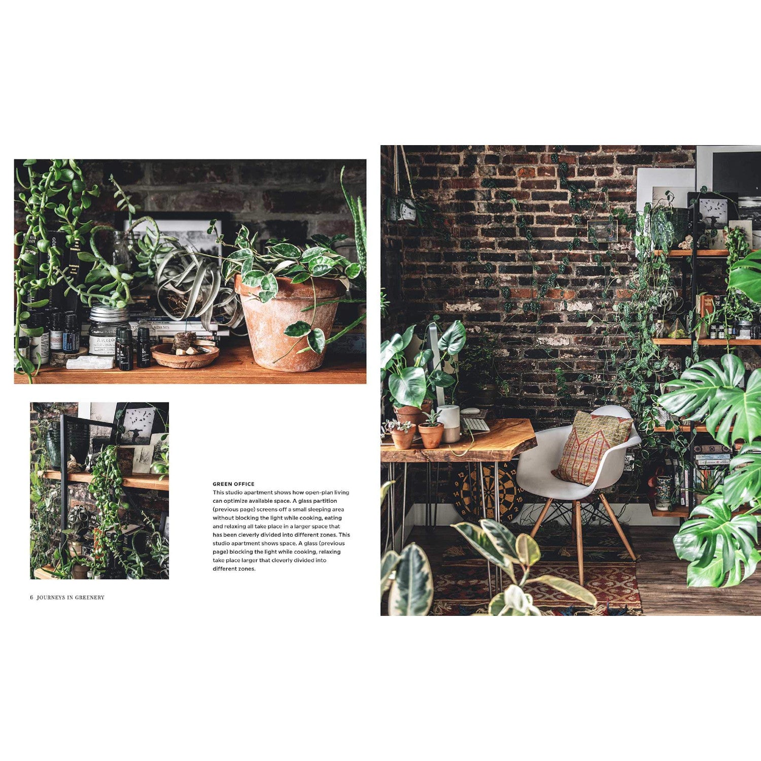 Wild Interiors
