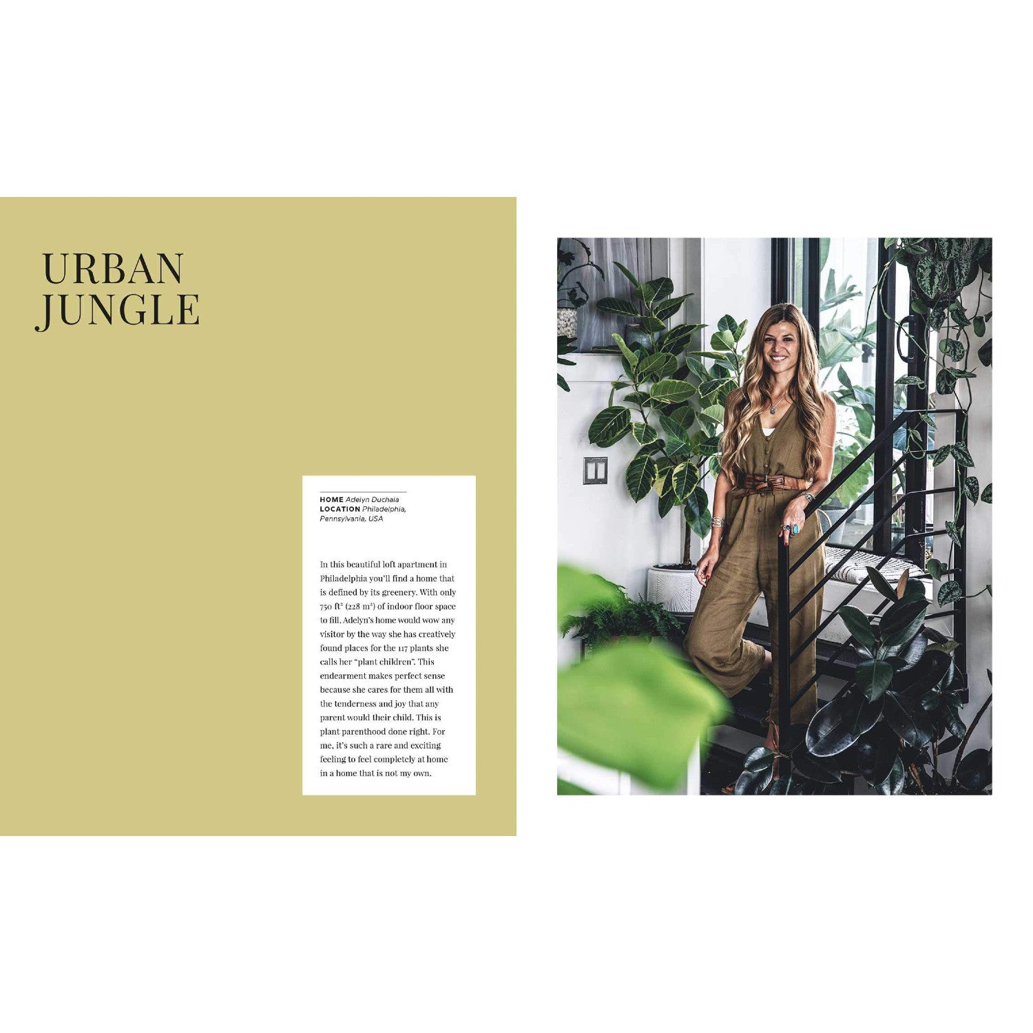 Wild Interiors