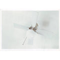 William Eggleston: Washington DC 1990 Postcard
