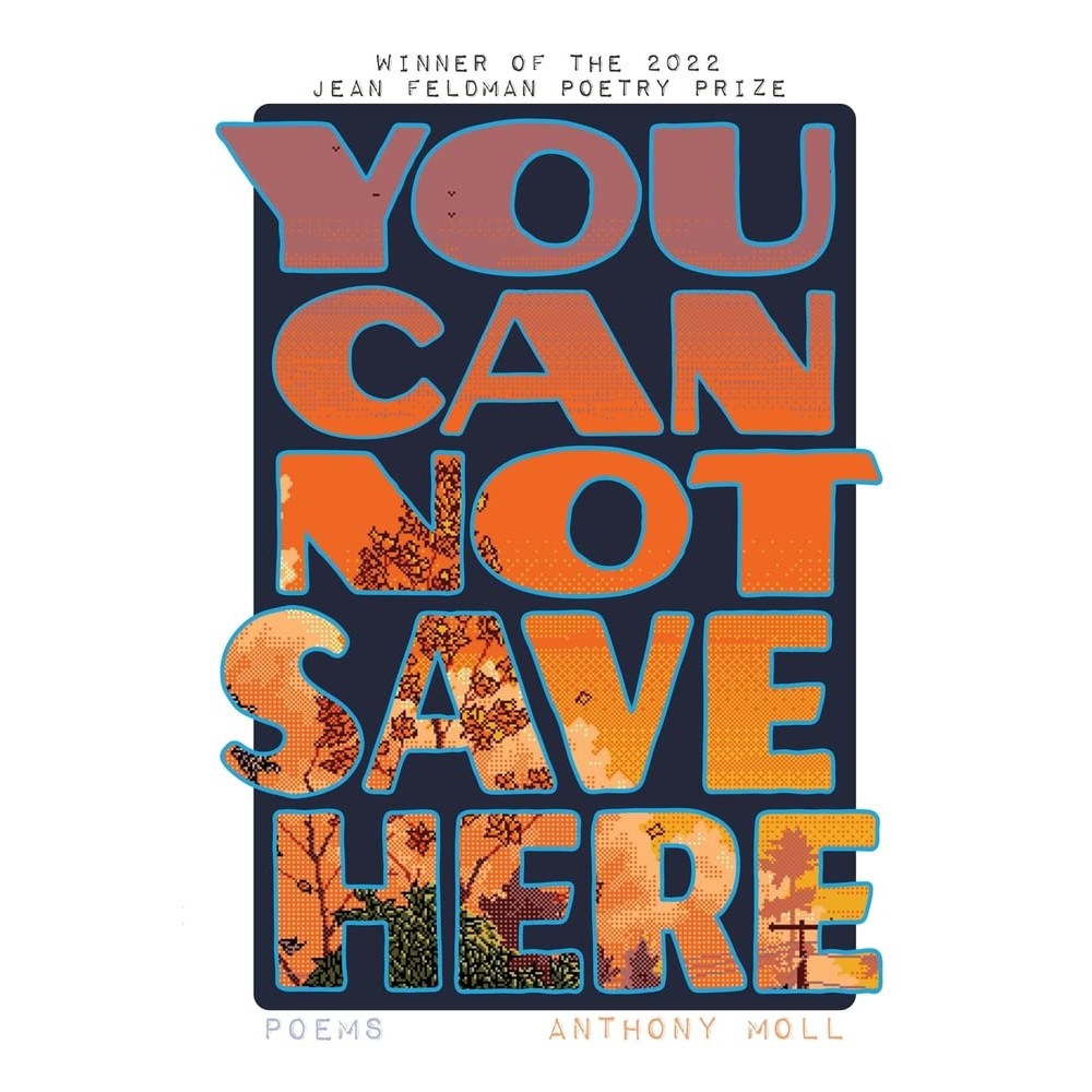 You Cannot Save Here