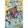 Young Justice Book 4