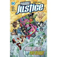 Young Justice Book 4