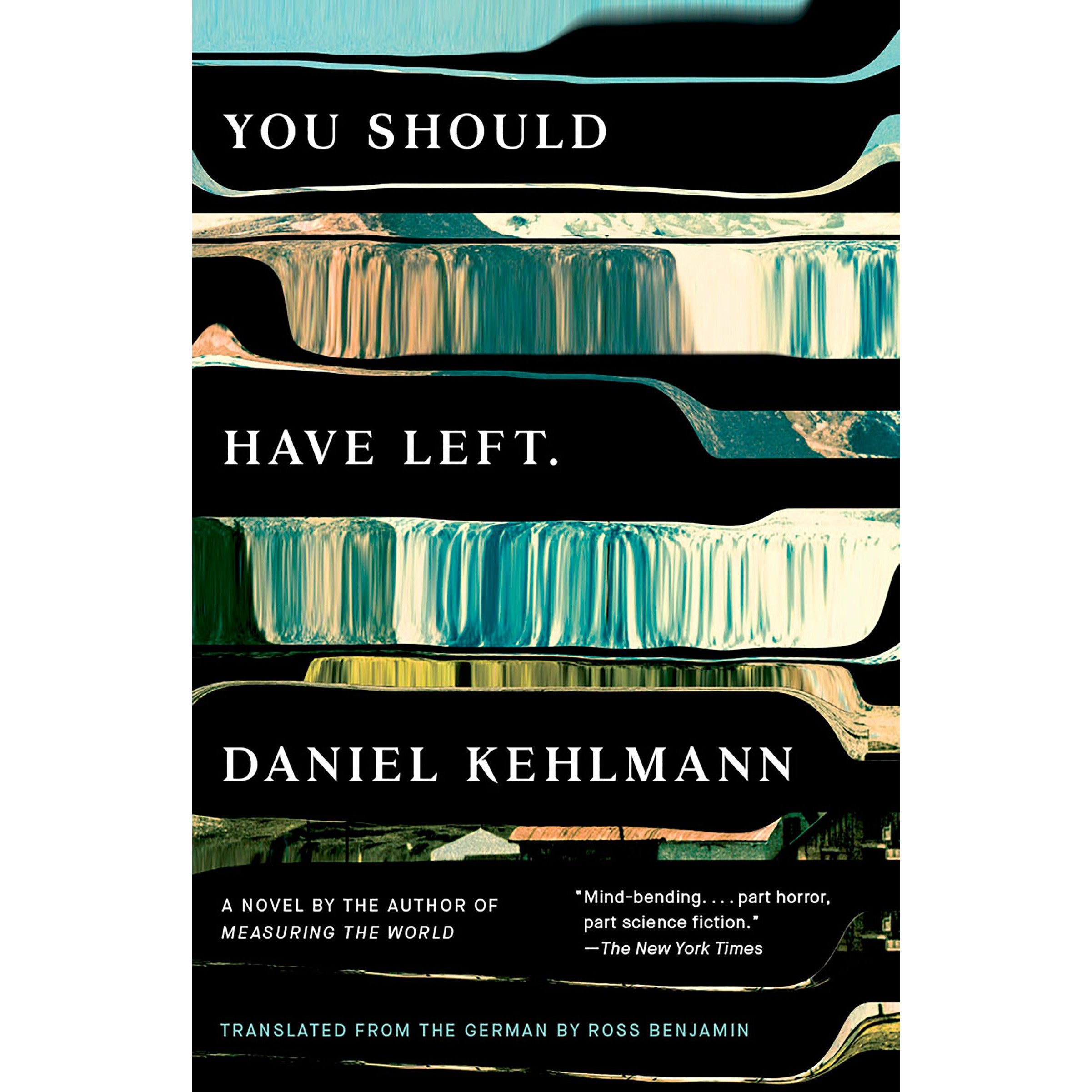 You Should Have Left: A Novel 